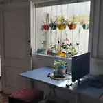 Alquiler Monoambiente Mar Del Plata